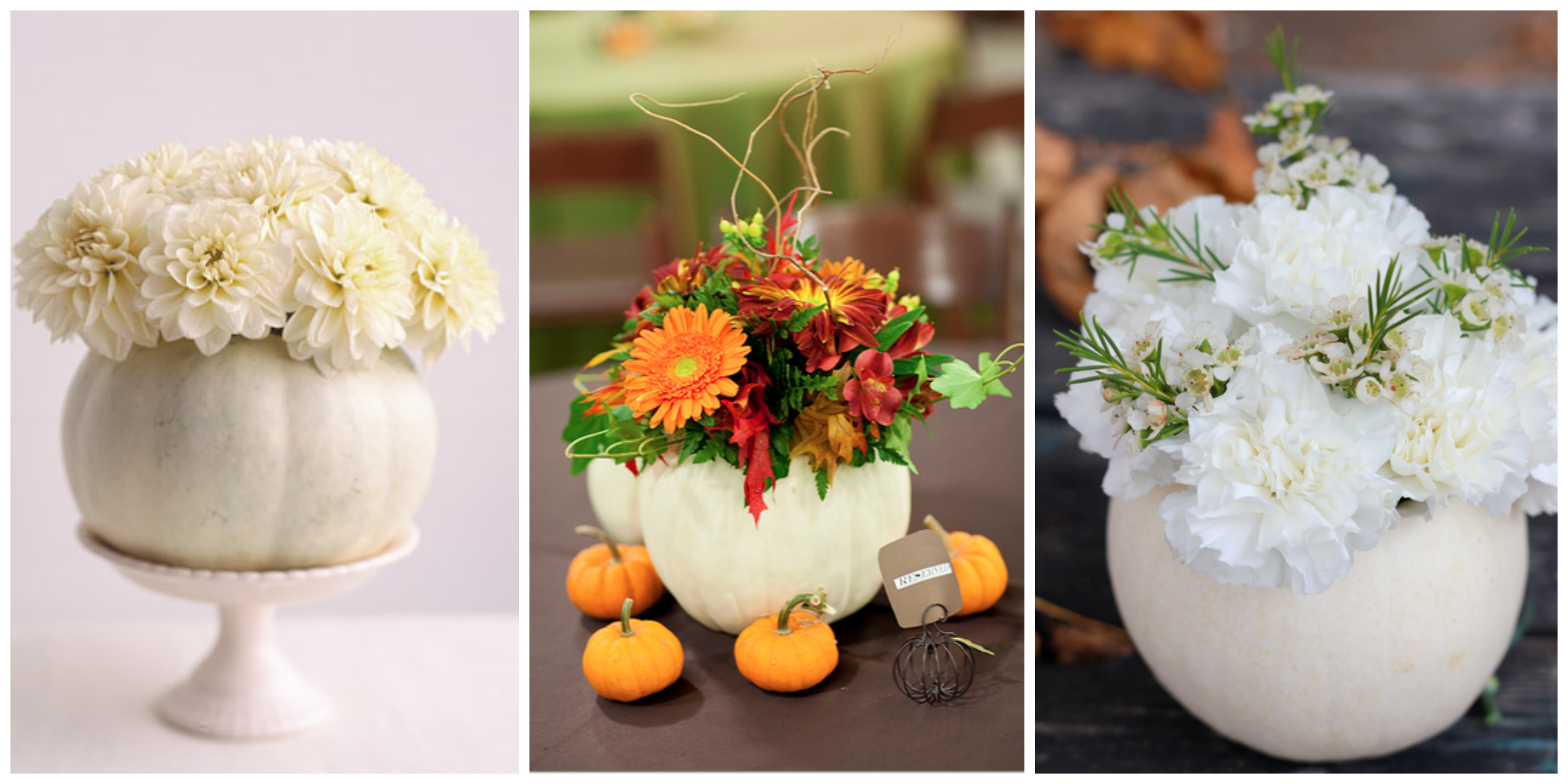 White pumpkins as flower vases