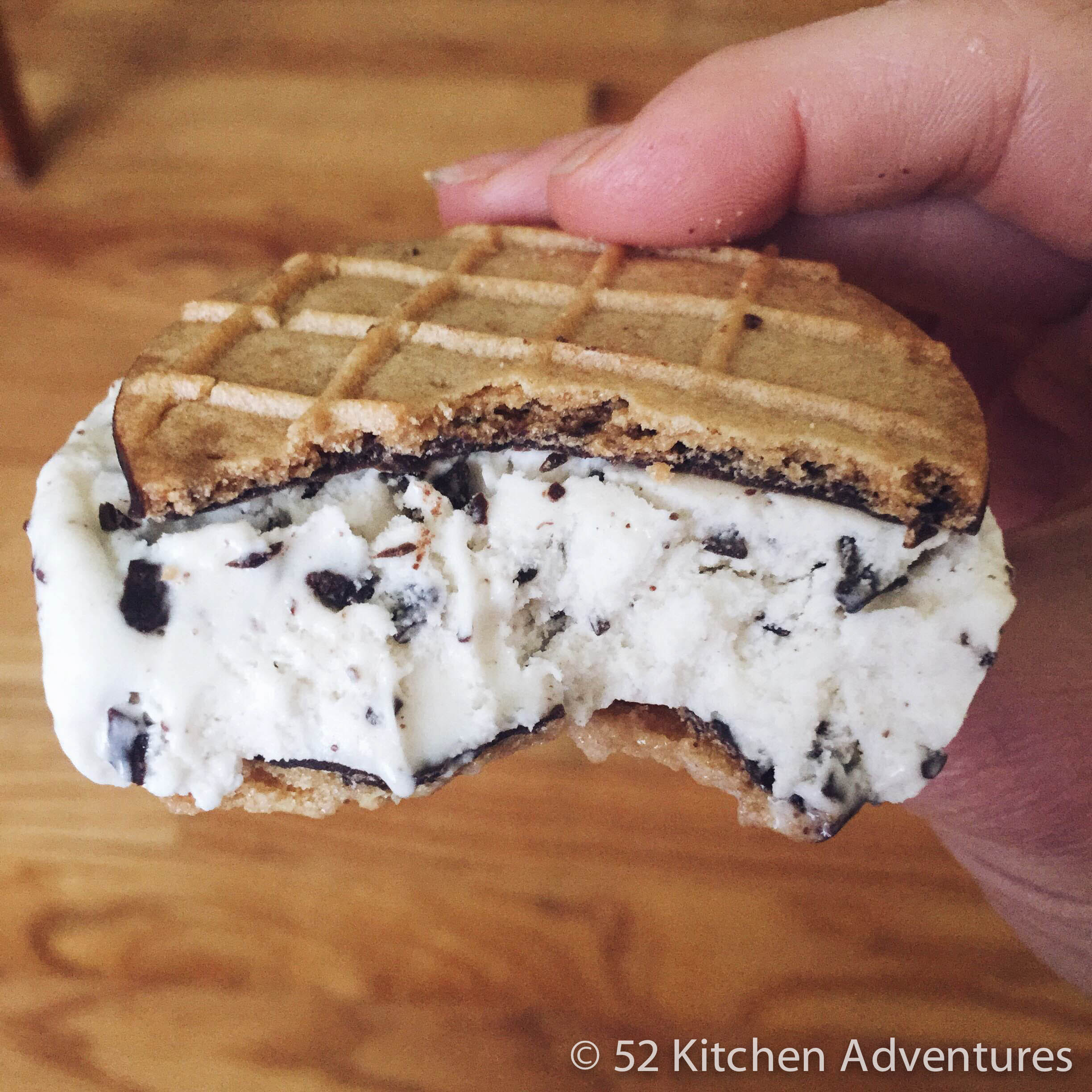 Mint Chocolate Chip Tillamookies